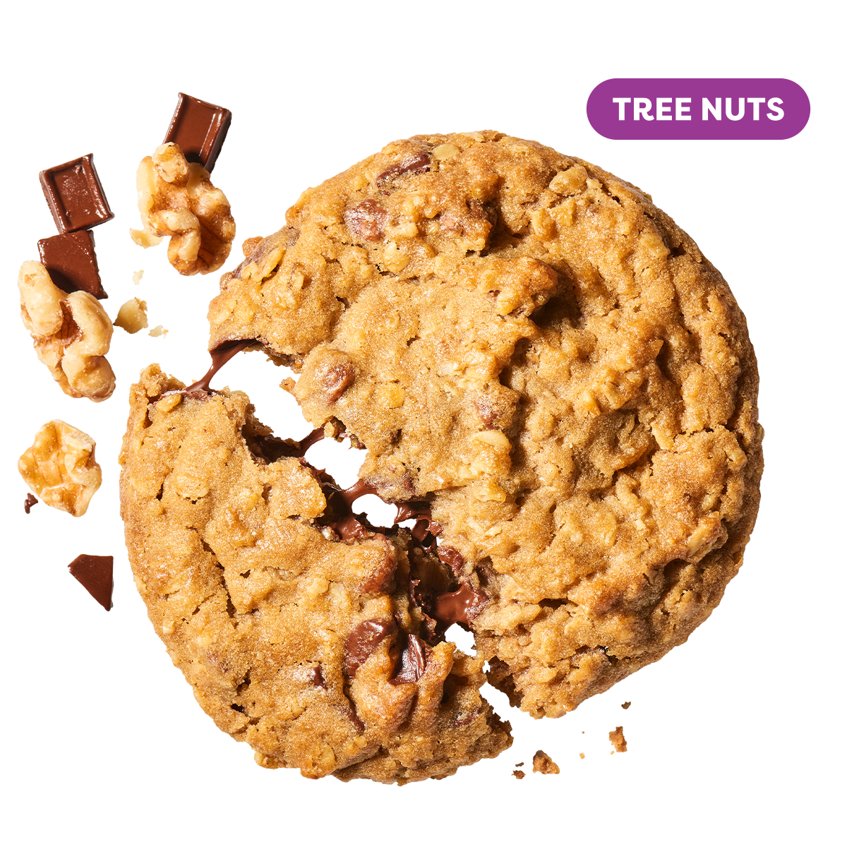 Oatmeal Chocolate Walnut Deluxe